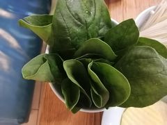 -青瓷火锅料理(西单大悦城店)