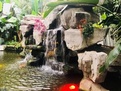 -汤山翠谷生态餐厅