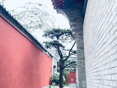 -西安市广仁寺