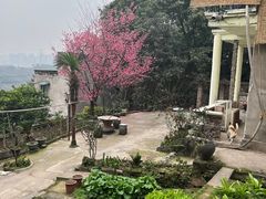 -南山植物园