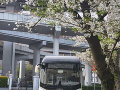 -上海南浦大桥长途旅游客运站