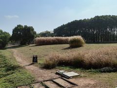 -良渚古城遗址公园