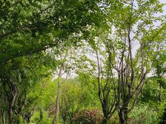 -昆山城市生态森林公园