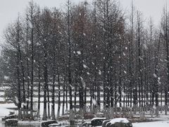 -滆湖低碳生态公园
