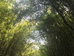 -熊猫厨房