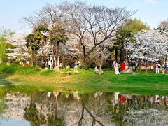 -堤角公园