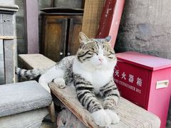 -正阳书局(西四南大街店)
