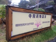 -庐山天沐温泉度假村