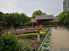 -金山公园