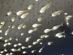 -万家宴海鲜大酒楼(五四路店)