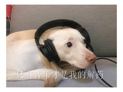 -北京佳信宠物医院