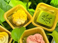 -沁园(南坪上海城店)