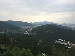 -老牌坊鲁菜名店(宽厚里店)