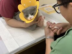 -芭比堂动物医院·24小时·眼科中心(深圳中心)