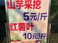 -恋山坝上草原