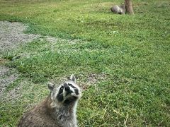 -秦皇岛野生动物园