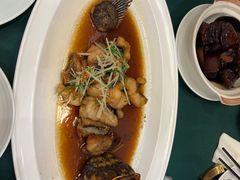 -老吉堂上海本帮菜(望京万象汇店)