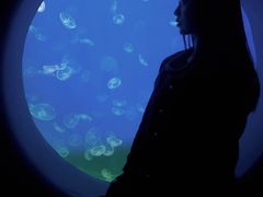 -江和美海洋公园