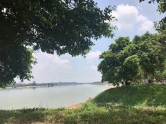 -鹤之洲湿地公园