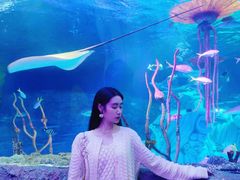 -沈阳海洋探索中心