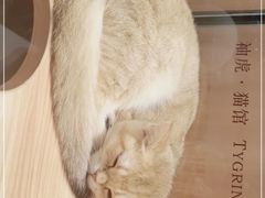 -袖虎·猫馆(体育西路店)