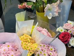 -三圣花乡旅游区