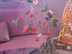 贵妃荔枝-故里和山·成都火锅(欢乐港湾店)