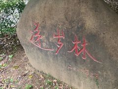-白马涧龙池景区