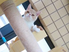 -佳雯宠物医院(金华南路分院)