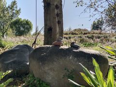 -南通洲际绿博园