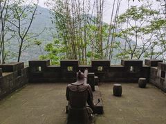 -铁山坪森林公园