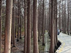 -云龙湖旅游景区