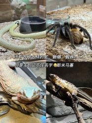 -Zoolung Zoolung动物主题公园(海信广场店)