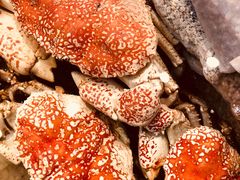 -海九澎湖海鲜餐厅