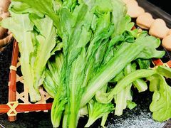茼蒿-湊湊火锅·茶憩(和平大悦城店)