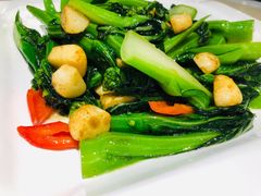 生炒菜心-老廣食堂(区庄店)