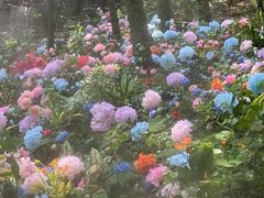 -腊山国家森林公园