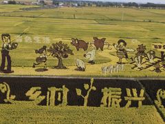 景点-稻梦空间