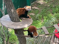 -大连森林动物园