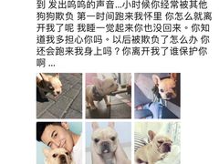 -瑞鹏宠物医院·微创内窥镜·骨外科·牙科(翠竹分院)