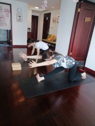 -Yvon yoga 瑜伽·精准体态管理中心