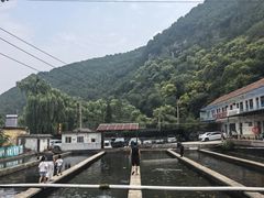 -青龙潭鱼庄
