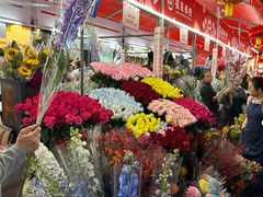 -越秀西湖花市(广州城市广场花卉店)