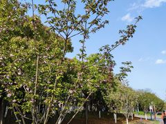 -狼山风景名胜区