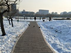 -莲花池公园