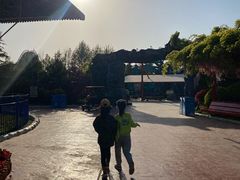 -济南方特东方神画