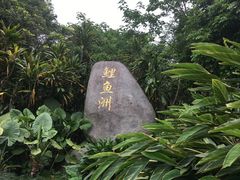 -福建鲤鱼洲酒店