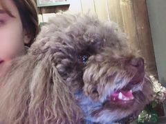 -百好乐宠物友好餐厅(朝外大街店)