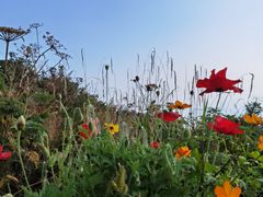 -白草畔自然风景区