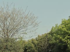 -府河摄影公园